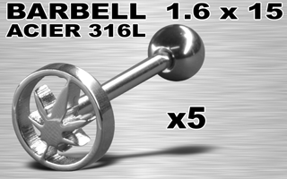 lot de 5 barbells acier 316