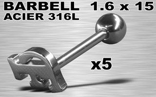 lot de 5 barbells acier 316
