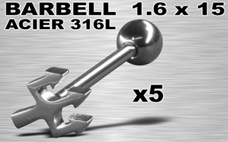 lot de 5 barbells acier 316
