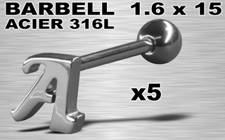 lot de 5 barbells acier 316