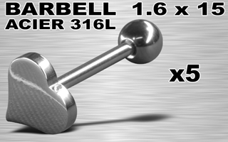 lot de 5 barbells acier 316