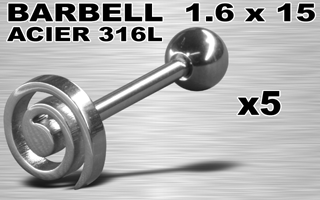 lot de 5 barbells acier 316