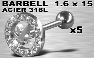 lot de 5 barbells acier 316