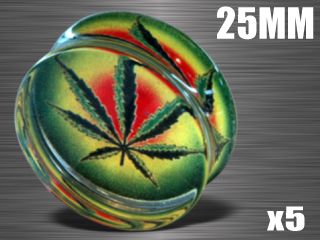 5 plugs acrylique translucide - diametre 25 mm