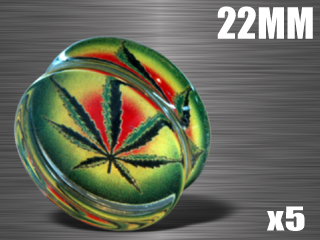 5 plugs acrylique translucide - diametre 22 mm