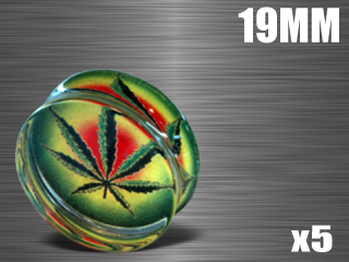 5 plugs acrylique translucide - diametre 19 mm