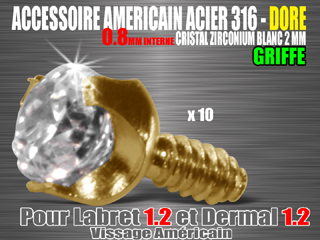 accessoires vissage americain 0.8 - acier 316 l - dore - zirconium cristal 2 mm - pour labret americain 1.2 et dermal 1.2