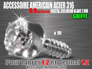 accessoires vissage americain 0.8 - acier 316 l - zirconium cristal 2 mm - pour labret americain 1.2 et dermal 1.2