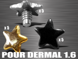 lot de 15 etoiles acier 316 l - vissage americain 1.6 pour dermal - verifie les references compatibles.