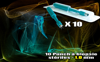 lot de 10 punchs a biopsie steriles 1.0 mm miltex (fabrique par kai medical) made in japon