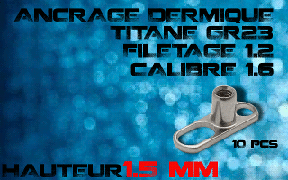 lot de 10 dermal titane grade 23 - trou large - vissage 1.2 - calibre 1.6 - hauteur 1.5 mm