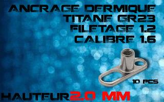 lot de 10 dermal titane grade 23 - trou large - vissage 1.2 - calibre 1.6 - hauteur 2.0 mm