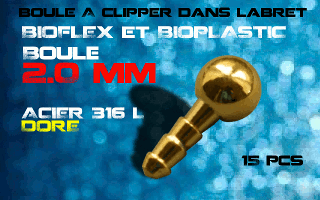 boules acier 316 l dore - 2 mm - a cliper pour labret bioflex et bioplatic