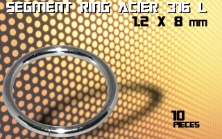 lot de 10 segment ring 1.2 x 8 - acier 316 l