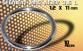 lot de 10 segment ring 1.2 x 11 - acier 316 l