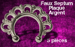 5 faux septum plaque argent