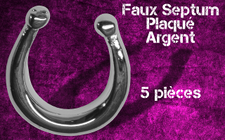 5 faux septum plaque argent