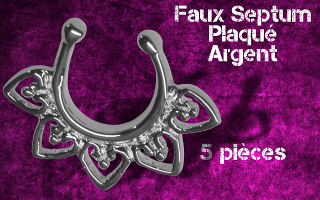 5 faux septum plaque argent