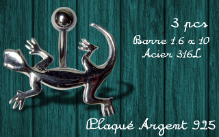 banane lezard - barre acier 316 - lezard plaque argent