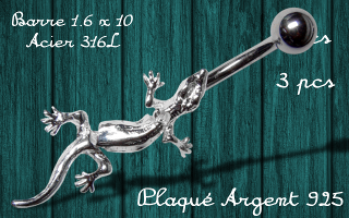 banane lezard - barre acier 316 - lezard plaque argent