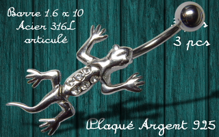 banane lezard - barre acier 316 - lezard plaque argent
