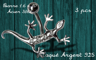 banane lezard - barre acier 316 - lezard plaque argent