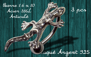 banane lezard articule inverse - barre acier 316 - lezard plaque argent