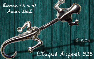 banane lezard - barre acier 316 - lezard plaque argent