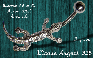banane lezard - barre acier 316 - lezard plaque argent