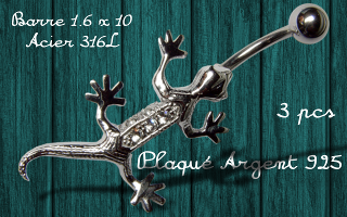 banane lezard - barre acier 316 - lezard plaque argent