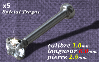 Lot de 5 micro labret special tragus - Acier - 1.0x6mm - zircon serti 2.5 mm - vissage interne