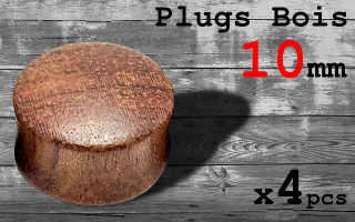 plug bois 10 mm