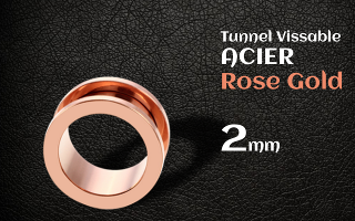 Tunnel vissable Acier Rose Gold 2 mm