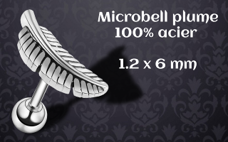microbell 100% acier 1.2 x 6 mm plume