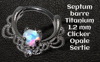 Septum et rook clicker barre titane 1.2 opale sertie grifee
