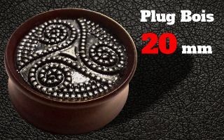 2 plugs bois echancres 20 mm
