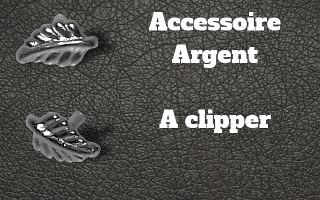 Accessoire clipable Argent - pour labret biolpastic et bioflex (non fourni)