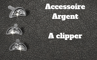 Accessoire clipable Argent - pour labret biolpastic et bioflex (non fourni)
