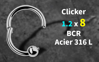 clicker 1.2 x 8 bcr acier 316L