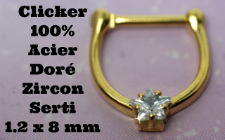 clicker Acier 100% doré zircon serties - 1.2 x 8