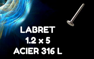 labret 1.2 x 5 mm Acier 316L