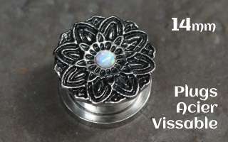 Plug acier vissable 14 mm