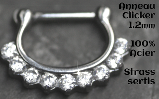Clicker Acier 1.2 - Strass sertis