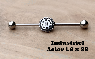 Industriel acier 1.6 x 38