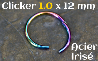 clicker 1.0 x 12 Acier 316 Irise