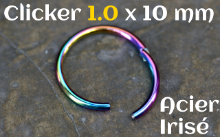 clicker 1.0 x 10 Acier 316 Irise