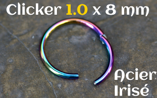 clicker 1.0 x 8 Acier 316 Irise