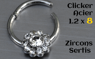 clicker acier 1.2 x 8 - zircons sertis