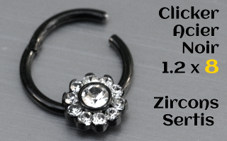 clicker acier Noir 1.2 x 8 - zircons sertis
